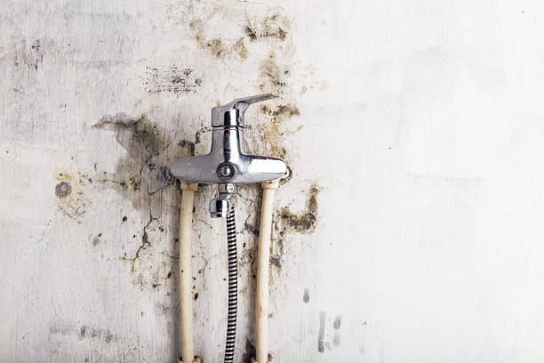 Best Mold Testing  in Kennewick, WA
