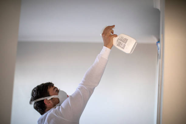 Best Mold Cleaning Services  in Kennewick, WA