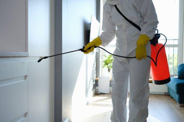 Best Home Mold Removal  in Kennewick, WA